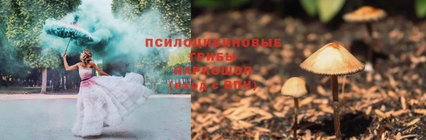 крисы Майский