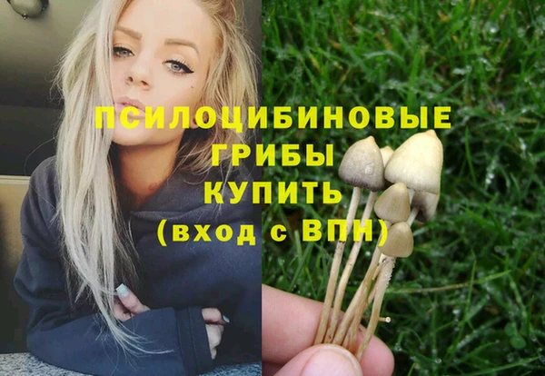 крисы Майский