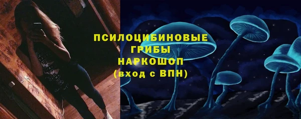 МДПВ Магадан