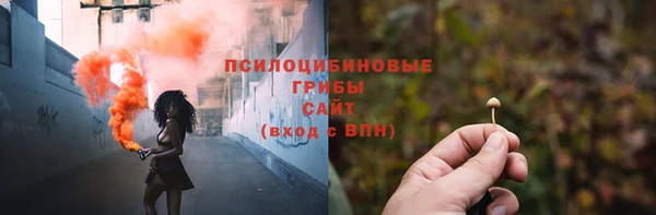крисы Майский