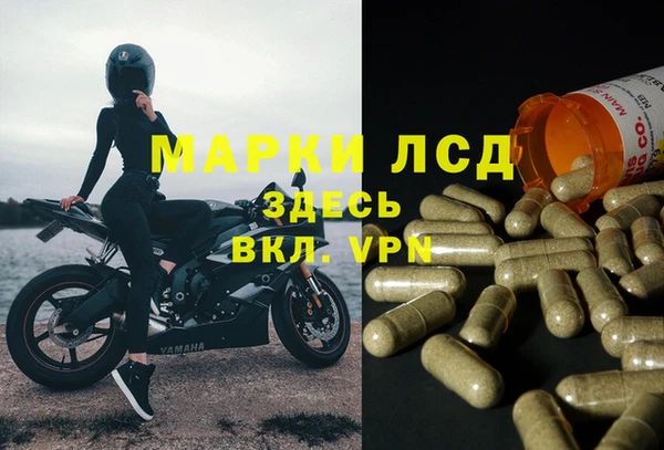 крисы Майский